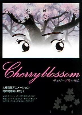 Cherry Blossom