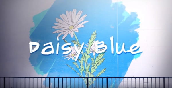 Daisy Blue