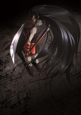  Akame Ga Kill: Complete Collection : Sōma Saitō, Corey