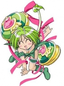 Lettuce Midorikawa