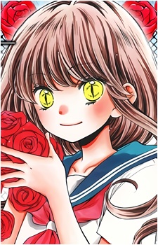 Isla