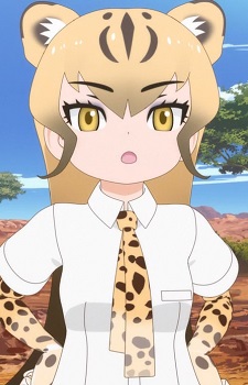 Cheetah